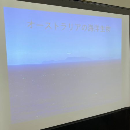 オーストラリア海外研修